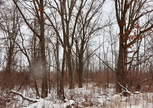 5th image of S Santiago Rd, Au Gres, MI 48703 | MLS# 70509517