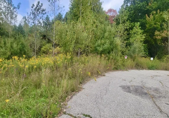 Photo 3 of Land for sale at 0 W Midland Rd, Midland, MI 48642 | MLS# 50189337 | Listing updated on 2025-09-23