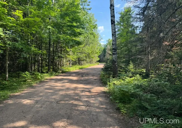 Photo 3 of Land for sale at Tbd Pond Lane 113 Acres, Gwinn, MI 49841 | MLS# 50149129 | Listing updated on 2026-07-17