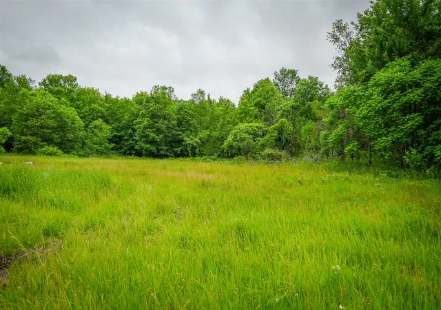 1st image of 8183 W Lincoln St, Bitely, MI 49309 | MLS# 70542304