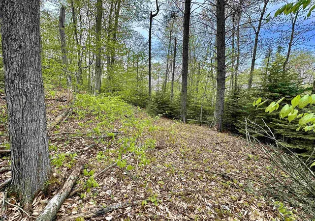 Homes for sale in Beaver Island, MI | Tbd Allens Lakeview, Beaver Island, MI 49782 | MLS# 80057632