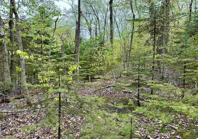 Homes for sale in Beaver Island, MI | Tbd Allens Lakeview, Beaver Island, MI 49782 | MLS# 80057632
