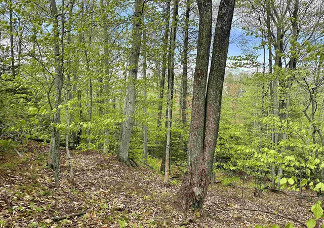 Homes for sale in Beaver Island, MI | Tbd Allens Lakeview, Beaver Island, MI 49782 | MLS# 80057632