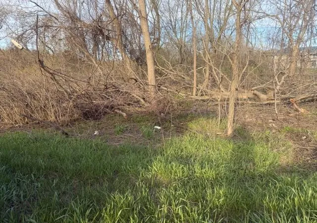 Photo 2 of Land for sale at 0 S Mason Dr, Grant, MI 49327 | MLS# 70526405 | Listing updated on 2026-08-28