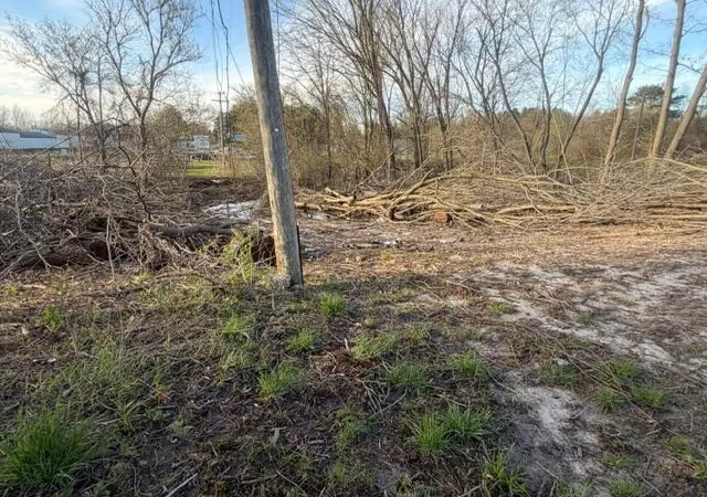 Photo 3 of Land for sale at 0 S Mason Dr, Grant, MI 49327 | MLS# 70526405 | Listing updated on 2026-08-28