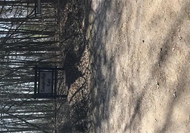 Photo 1 of Sale Pending at V/l Smugglers Pass Lot 15, Pentwater, MI 49449 | MLS# 70459191 | Listing updated on 2026-09-05