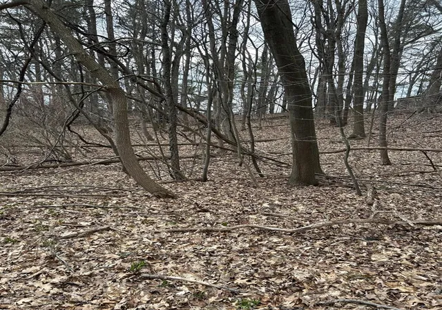 Photo 3 of Sale Pending at V/l Smugglers Pass Lot 15, Pentwater, MI 49449 | MLS# 70459191 | Listing updated on 2026-09-05