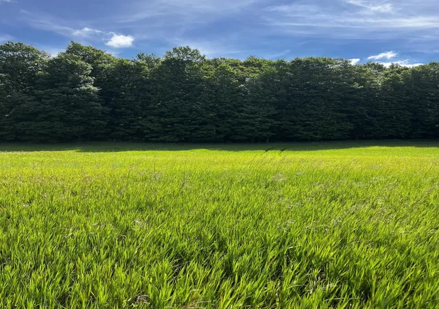 Photo 2 of Land for sale at 7745 Kingsley Rd, Kingsley, MI 49649 | MLS# 80072860 | Listing updated on 2026-09-17