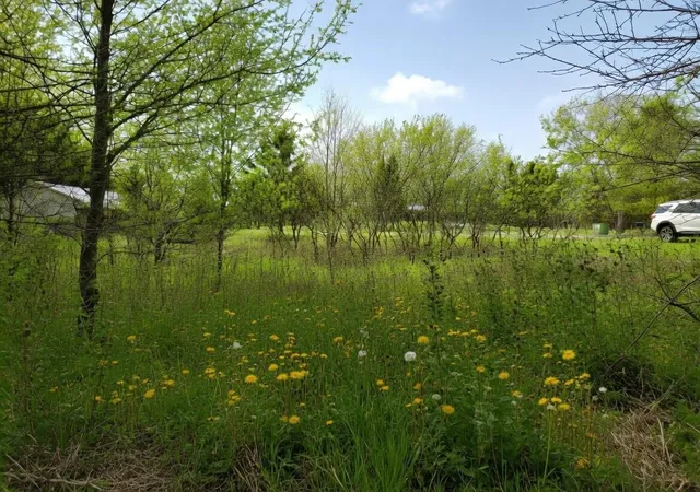 Photo 2 of Land for sale at Lot 56 Linksview Way, Gladwin, MI 48624 | MLS# 50205190 | Listing updated on 2026-06-17