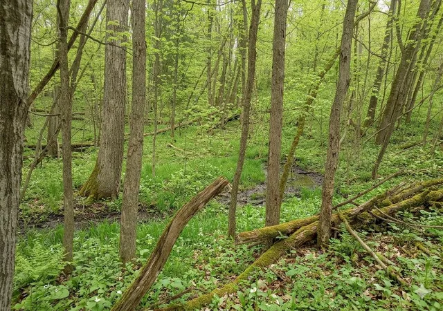Photo 3 of Land for sale at Lot 56 Linksview Way, Gladwin, MI 48624 | MLS# 50205190 | Listing updated on 2026-06-17