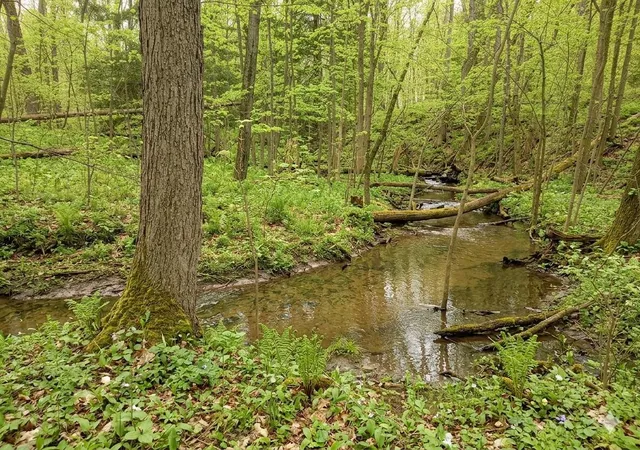 Photo 4 of Land for sale at Lot 56 Linksview Way, Gladwin, MI 48624 | MLS# 50205190 | Listing updated on 2026-06-17