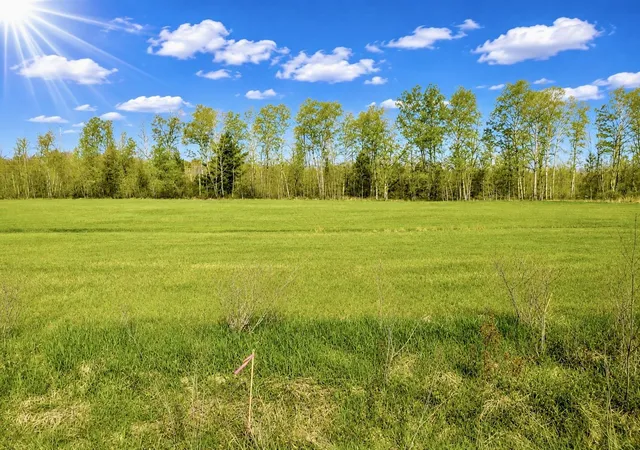 Photo 2 of Land for sale at 1748 National City Rd, National City, MI 48748 | MLS# 80071055 | Listing updated on 2026-09-18