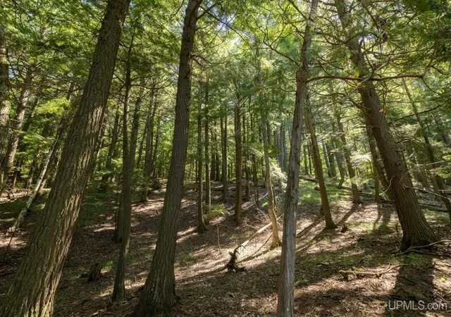 3rd image of 580 Pentoga Trl, Crystal Falls, MI 49920 | MLS# 50216596