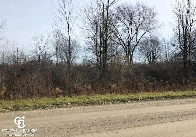 Homes for sale in Memphis, MI | 00 Cowhy Rd Parcel "b" Rd, Memphis, MI 48041 | MLS# 50085122