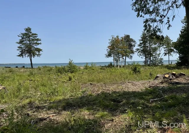 Photo 3 of Land for sale at Tbd Harbor Lights Trl, Manistique, MI 49854 | MLS# 50217150 | Listing updated on 2026-08-03