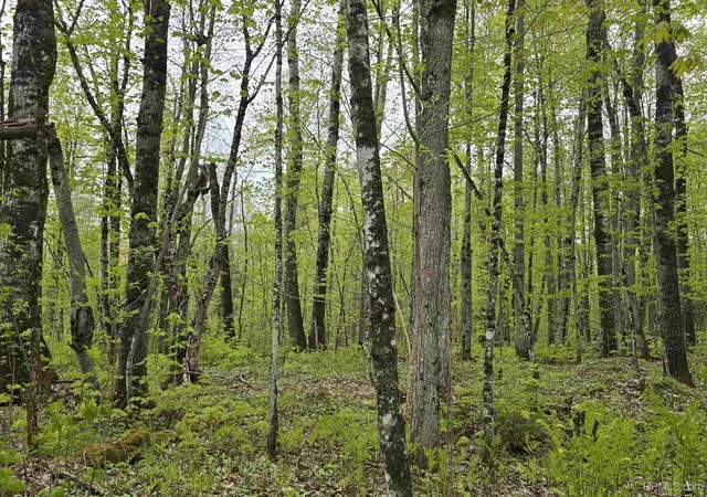 Photo 1 of Land for sale at Tbd Lot 37 Yellow Rd, Nisula, MI 49952 | MLS# 50218223 | Listing updated on 2026-08-12