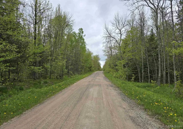 Photo 3 of Land for sale at Tbd Lot 37 Yellow Rd, Nisula, MI 49952 | MLS# 50218223 | Listing updated on 2026-08-12