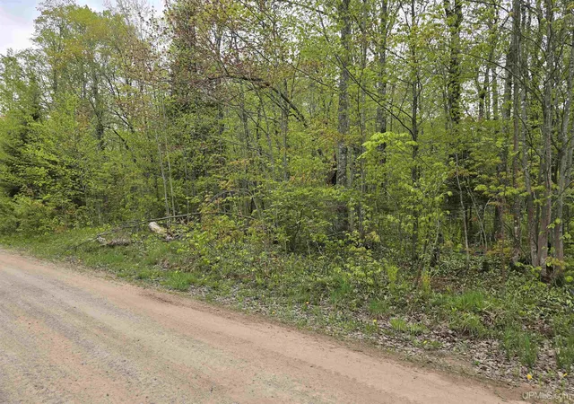 Photo 3 of Land for sale at Tbd Lot 37 Yellow Rd, Nisula, MI 49952 | MLS# 50218223 | Listing updated on 2026-08-12