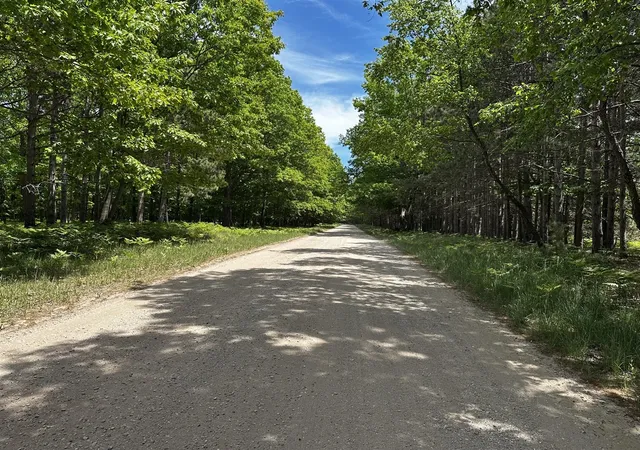 Homes for sale in Free Soil, MI | V/L (10A) W Jepson Rd, Free Soil, MI 49411 | MLS# 70537450