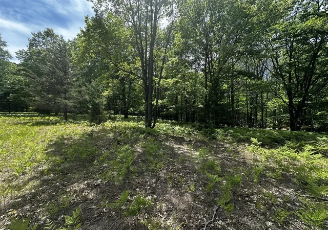 Homes for sale in Free Soil, MI | V/L (10A) W Jepson Rd, Free Soil, MI 49411 | MLS# 70537450