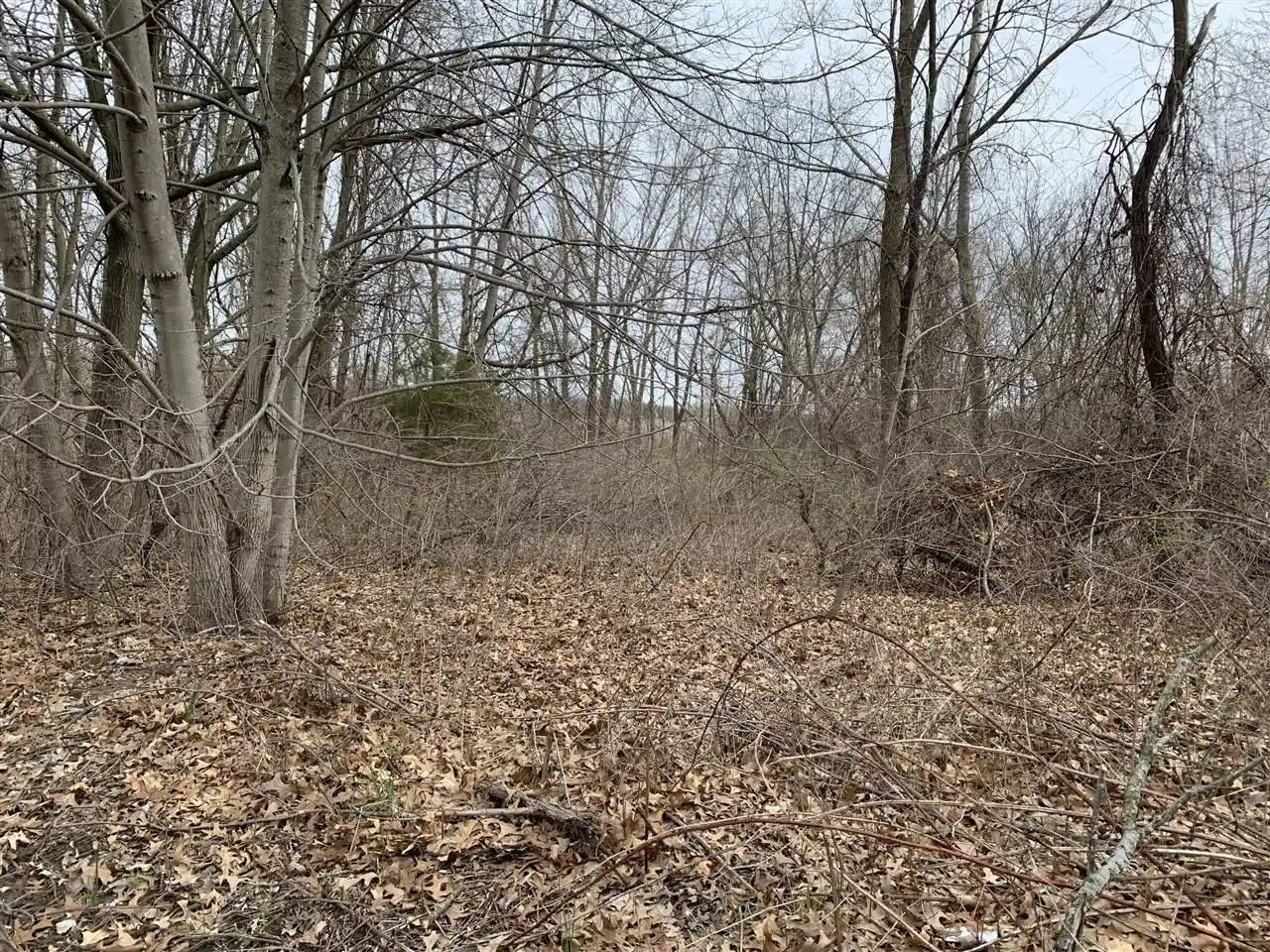 Photo 1 of Land for sale at 2800 Bristol Ave, Grand Rapids, MI 49544 | MLS# 70566446 | Listing updated on 2026-10-26