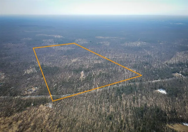 Homes for sale in Free Soil, MI | V/l Rybicki Rd, Free Soil, MI 49411 | MLS# 70508787