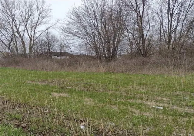 Photo 3 of Land for sale at 00 N Cotton Rd, Chesterfield, MI 48047 | MLS# 60972047 | Listing updated on 2026-07-07