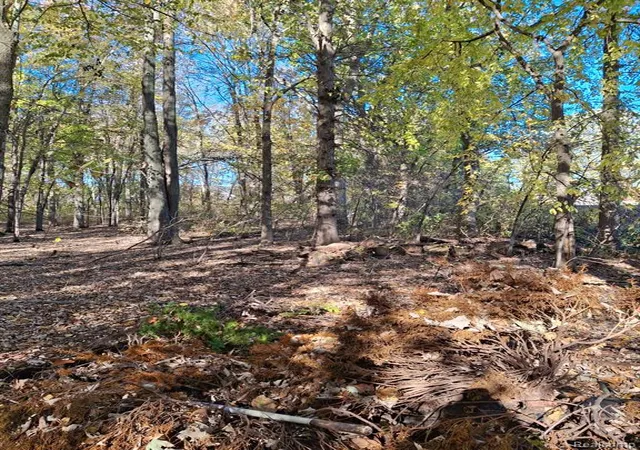 Photo 3 of Land for sale at 00 N Cotton Rd, Chesterfield, MI 48047 | MLS# 60972047 | Listing updated on 2026-07-07