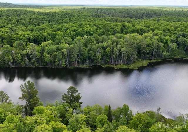Homes for sale in Toivola, MI | Tbda Off Winona Rd, Toivola, MI 49965 | MLS# 50212470