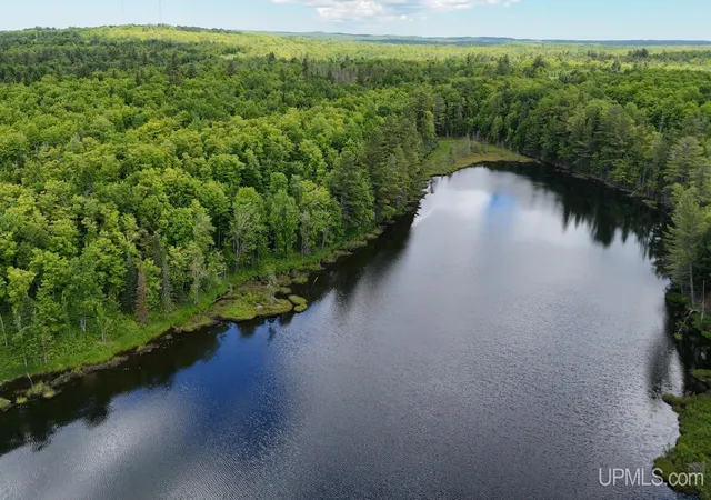 Homes for sale in Toivola, MI | Tbda Off Winona Rd, Toivola, MI 49965 | MLS# 50212470