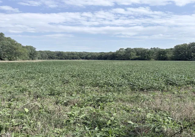 Photo 3 of Sale Pending at 000 Palms Rd, Columbus, MI 48063 | MLS# 50219907 | Listing updated on 2026-09-02