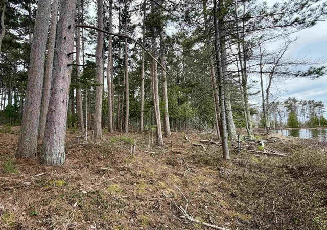 3rd image of Tbd Whitetail Trl, Beaver Island, MI 49782 | MLS# 80064487