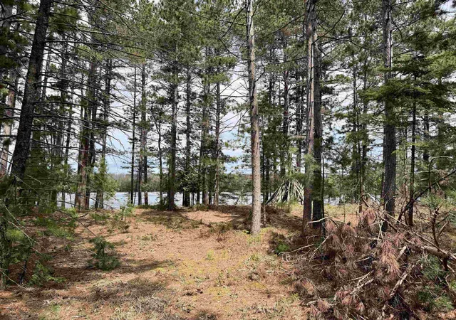5th image of Tbd Whitetail Trl, Beaver Island, MI 49782 | MLS# 80064487