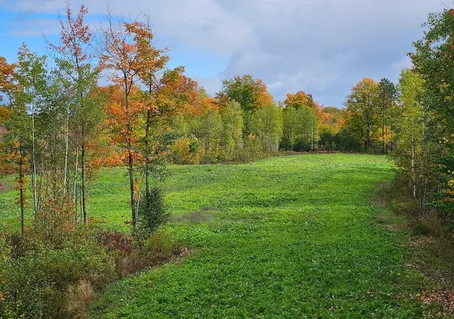 Homes for sale in Mio, MI | 152 Acres W Miller Rd, Mio, MI 48647 | MLS# 70521663