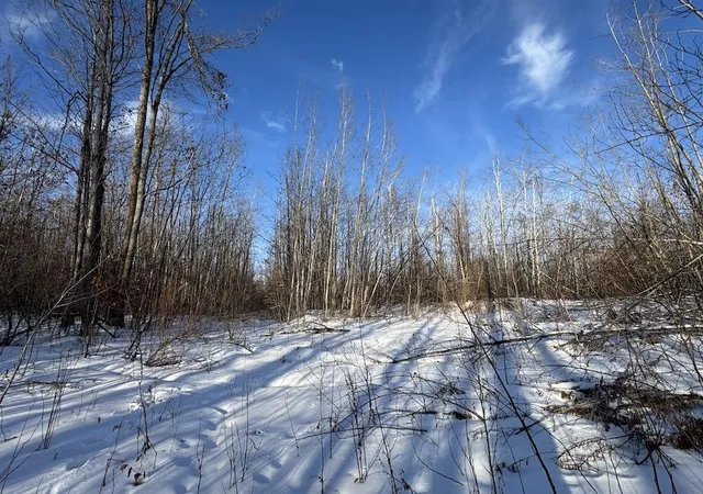 Homes for sale in Mio, MI | 152 Acres W Miller Rd, Mio, MI 48647 | MLS# 70521663
