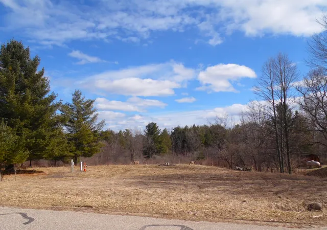 Photo 1 of Land for sale at 5458 Wellington Rd, Gladwin, MI 48624 | MLS# 50202753 | Listing updated on 2026-08-24