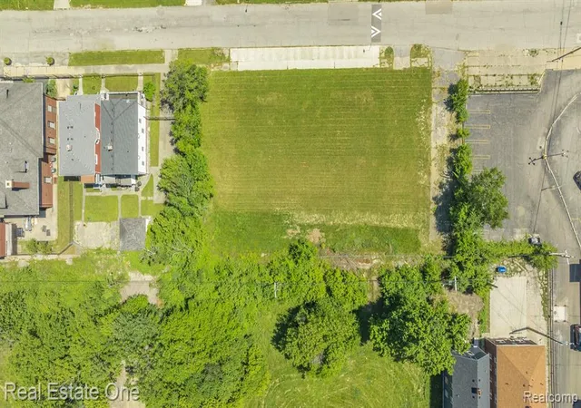 Homes for sale in Detroit, MI | 1075 Coplin St, Detroit, MI 48215 | MLS# 60400656