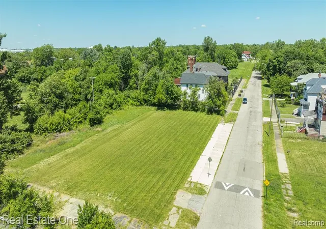 Homes for sale in Detroit, MI | 1075 Coplin St, Detroit, MI 48215 | MLS# 60400656