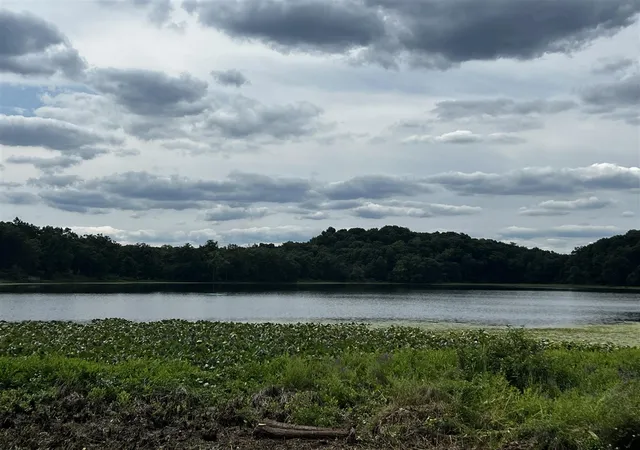 Photo 1 of Land for sale at Vl Day Rd, Bellevue, MI 49021 | MLS# 70551985 | Listing updated on 2026-08-19