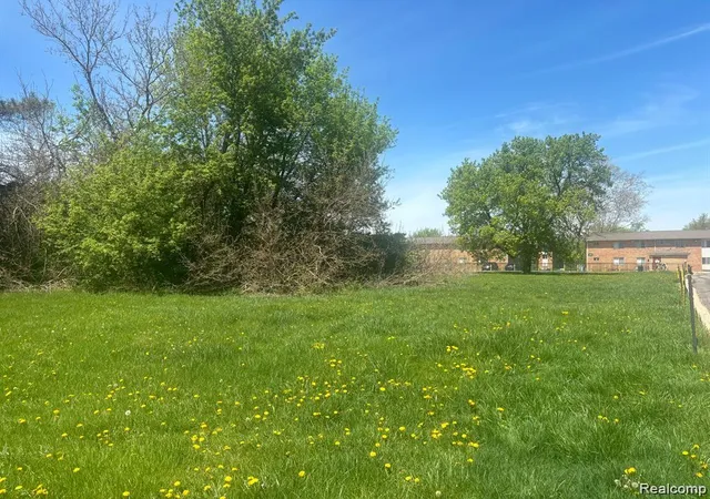 Photo 3 of Land for sale at 0000 Ecorse, Romulus, MI 48174 | MLS# 61000450 | Listing updated on 2026-07-07