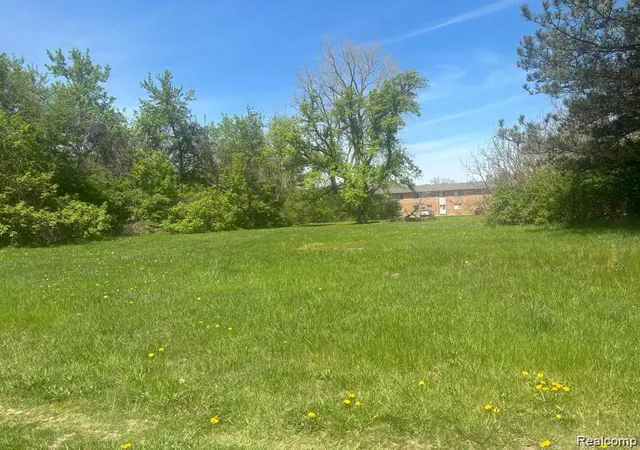 Photo 4 of Land for sale at 0000 Ecorse, Romulus, MI 48174 | MLS# 61000450 | Listing updated on 2026-07-07