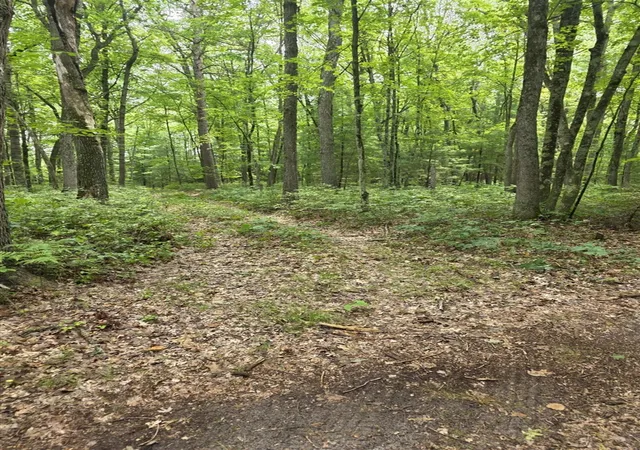 Photo 1 of Land for sale at 01v/l N Hunters Way, White Cloud, MI 49349 | MLS# 70550443 | Listing updated on 2026-08-05