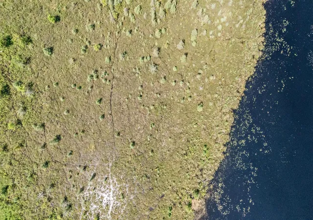 Photo 3 of Land for sale at 01v/l N Hunters Way, White Cloud, MI 49349 | MLS# 70550443 | Listing updated on 2026-08-05