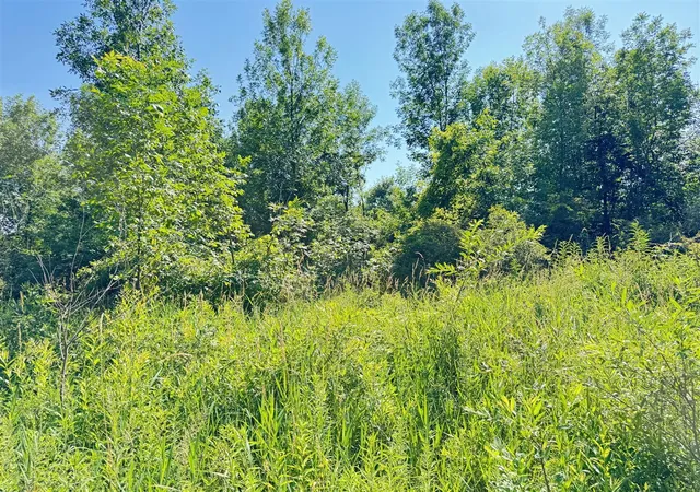 Photo 3 of Land for sale at 13513 100th Street, Alto, MI 49302 | MLS# 70545424 | Listing updated on 2026-09-09