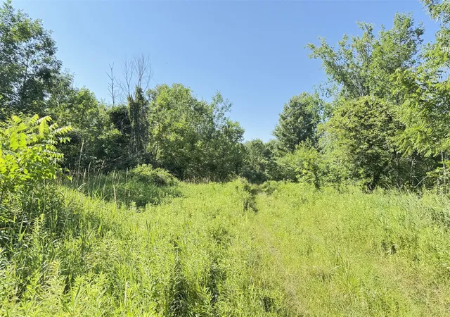 Photo 3 of Land for sale at 13513 100th Street, Alto, MI 49302 | MLS# 70545424 | Listing updated on 2026-09-09