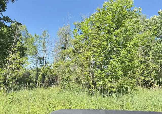 Photo 4 of Land for sale at 13513 100th Street, Alto, MI 49302 | MLS# 70545424 | Listing updated on 2026-09-09