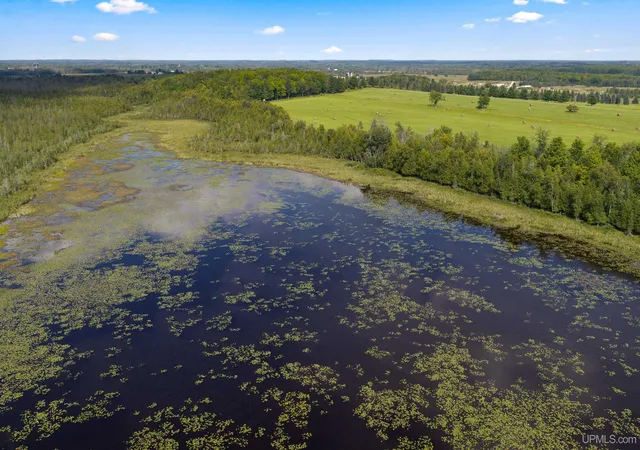 4th image of 1202 S 135 Ln, Bark River, MI 49807 | MLS# 50219391