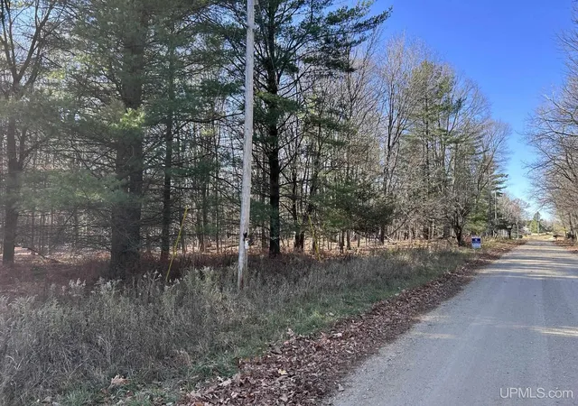 Photo 1 of Land for sale at Tbd 525 Ln, Menominee, MI 49858 | MLS# 50194265 | Listing updated on 2026-09-08
