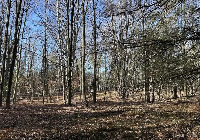 Photo 2 of Land for sale at Tbd 525 Ln, Menominee, MI 49858 | MLS# 50194265 | Listing updated on 2026-09-08