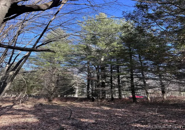 Photo 3 of Land for sale at Tbd 525 Ln, Menominee, MI 49858 | MLS# 50194265 | Listing updated on 2026-09-08